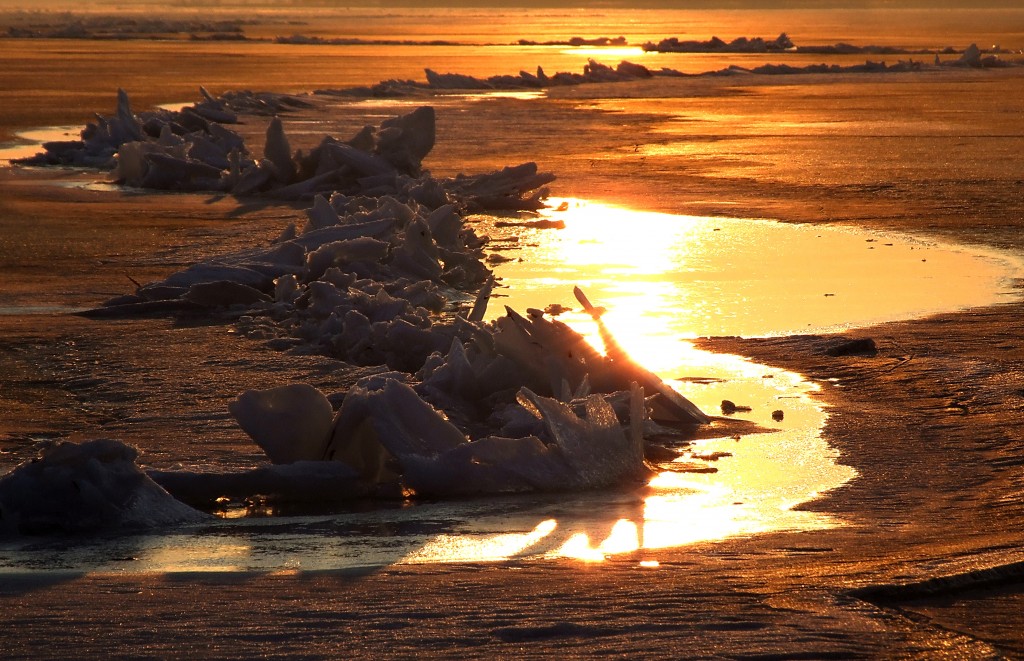 Centauri Gold Ice