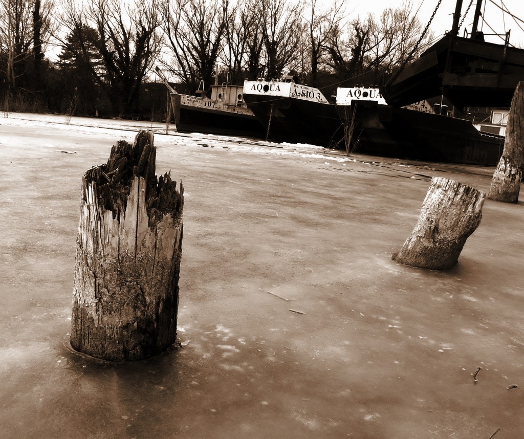 Centauri Dock