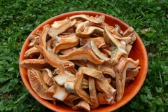 P1200502