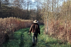 vadkamell 21