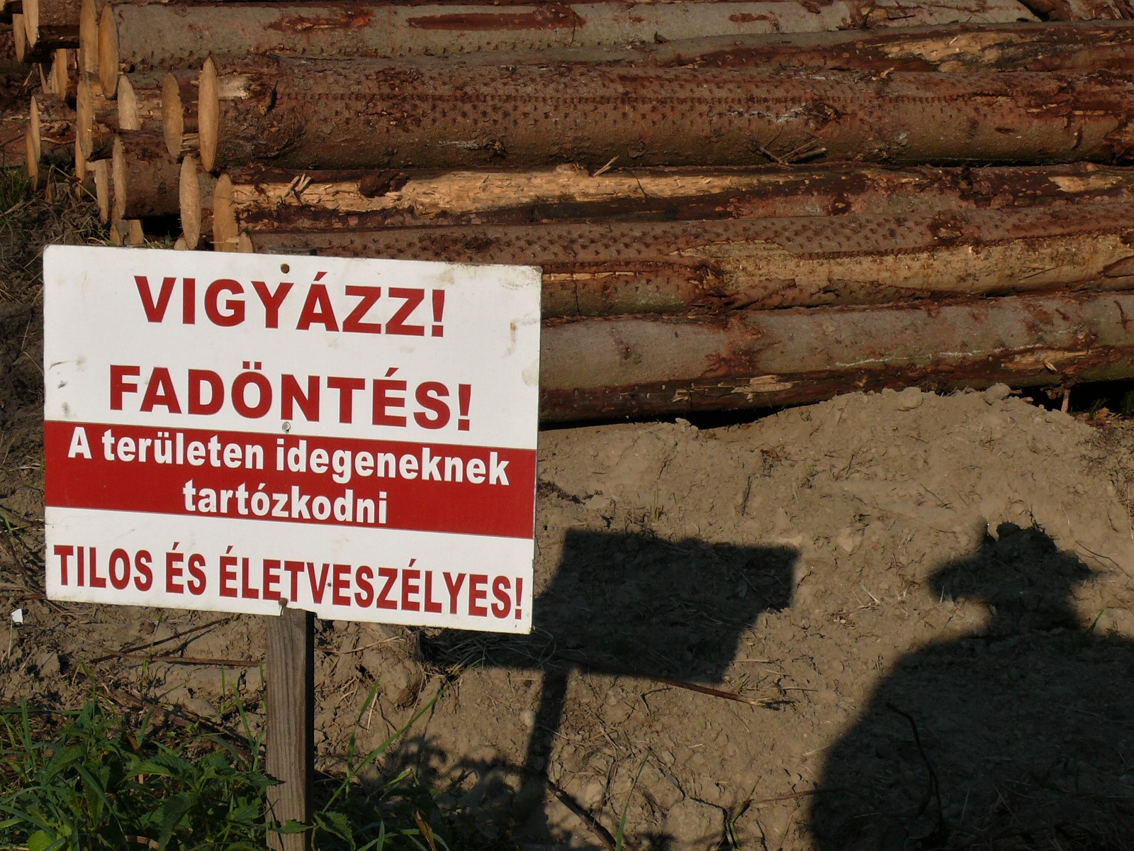 összegzés