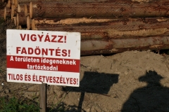 összegzés