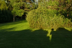 vége 3
