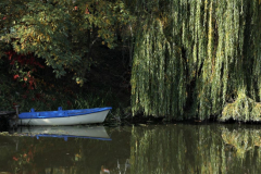 1000 balaton 20