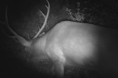 HUNT0001