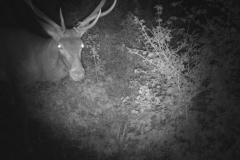 HUNT0006