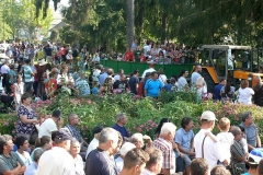 burrogtató 10