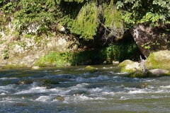 tusnádfürdő 25