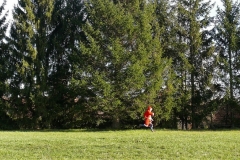mikleg