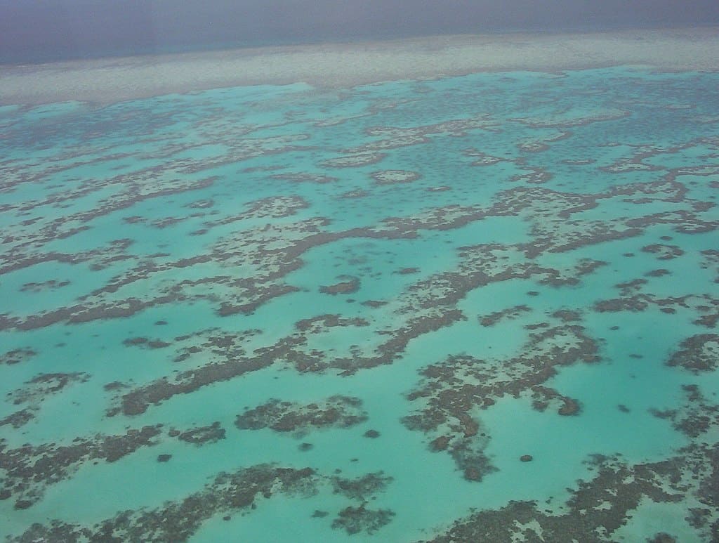 ausztrál korallzátony