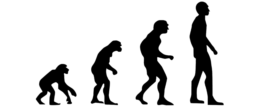 evolúció homo sapiens