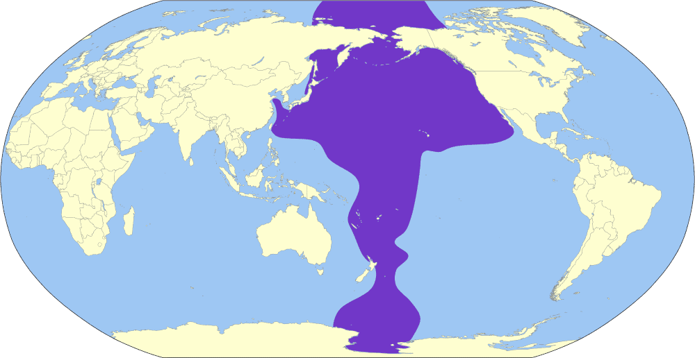 A feketelábú albatrosz elterjedési területe