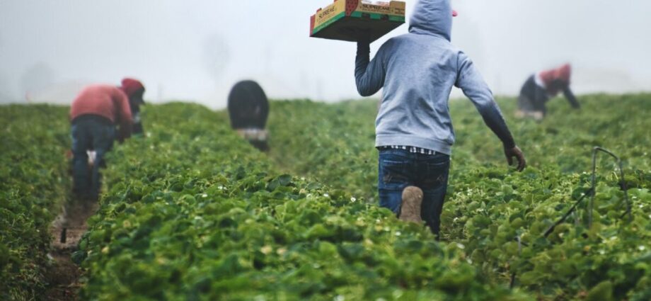 food systems