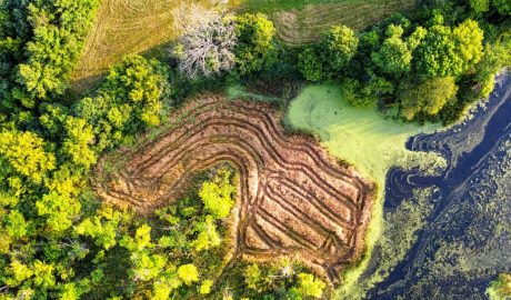 Europe nature restoration cost