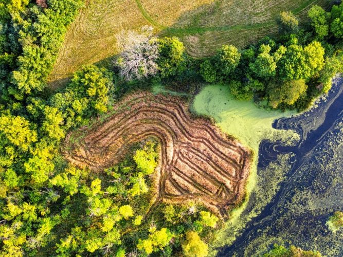 Europe nature restoration cost