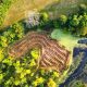 Europe nature restoration cost