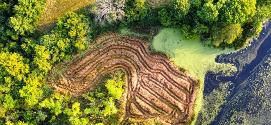 Europe nature restoration cost