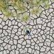 climate change drought