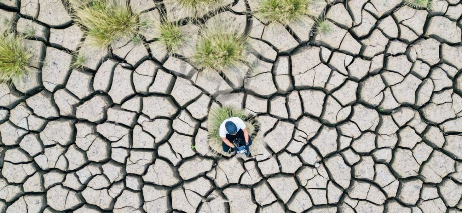climate change drought