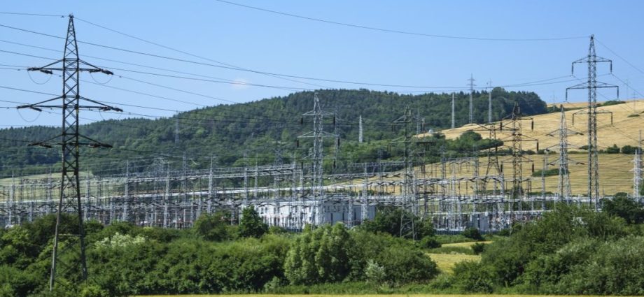 electricity energy TSO large consumers