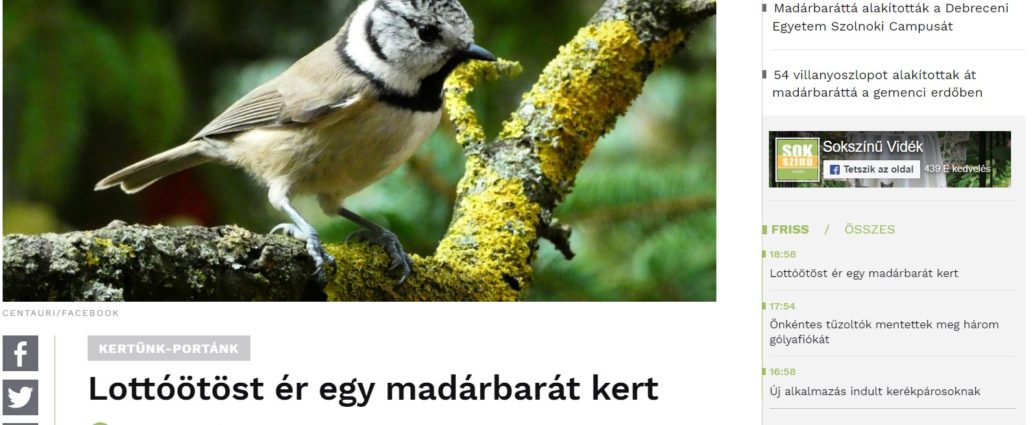 öttalálatos öt cinegefaj madárbarát kert