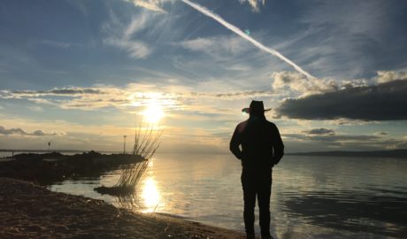 Centauri Balaton madarak