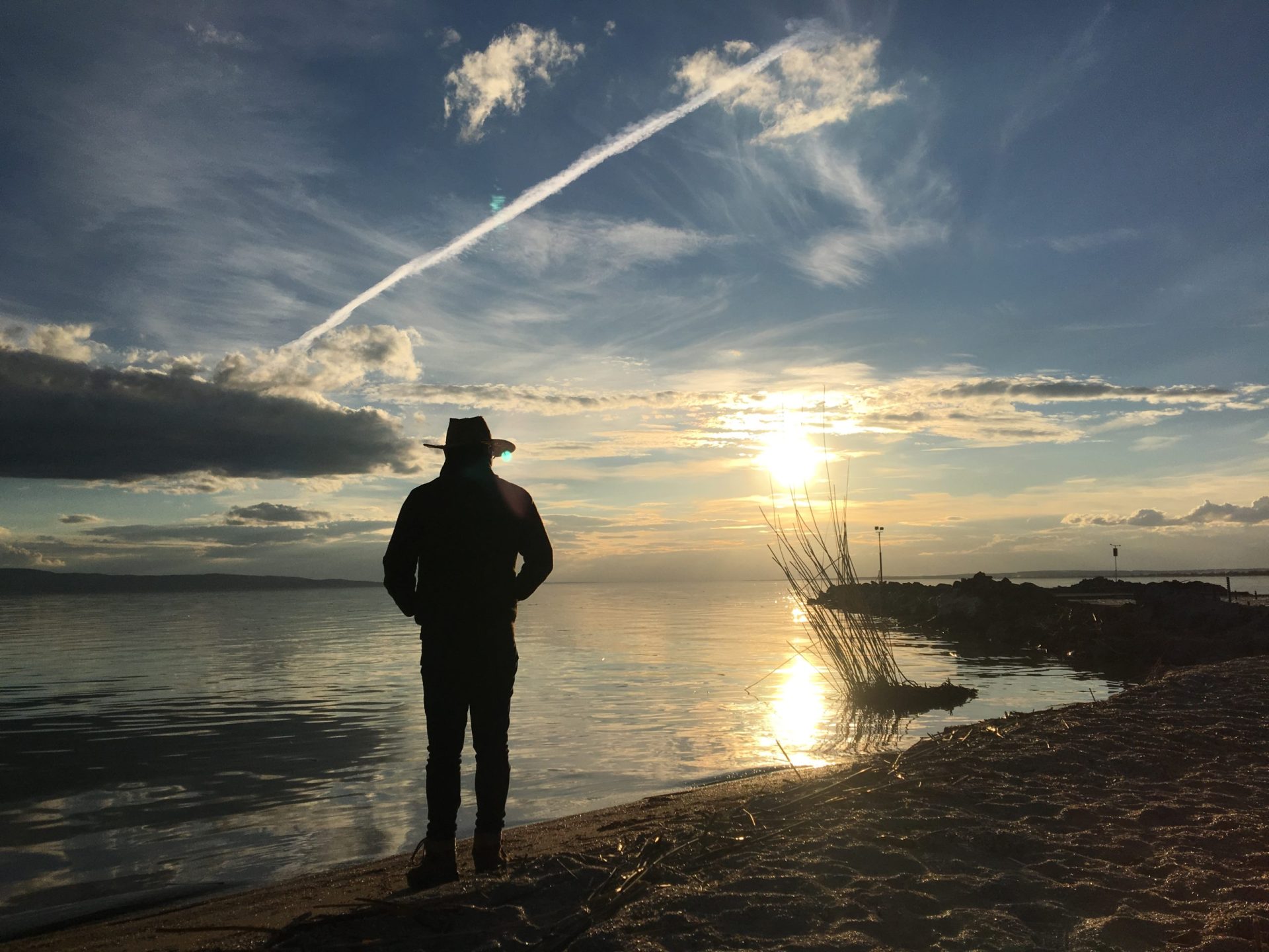 Centauri Balaton madarak