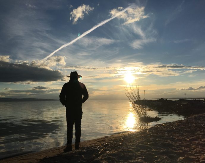 Centauri Balaton madarak
