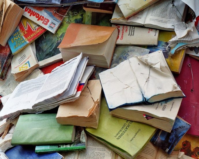 Alicia Martin Biografias Cascade of books
