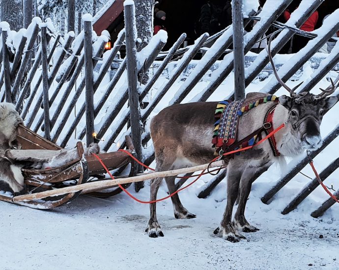 Lappföld