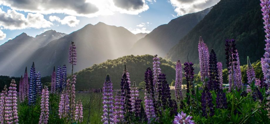 Milford Sound, Új-Zéland