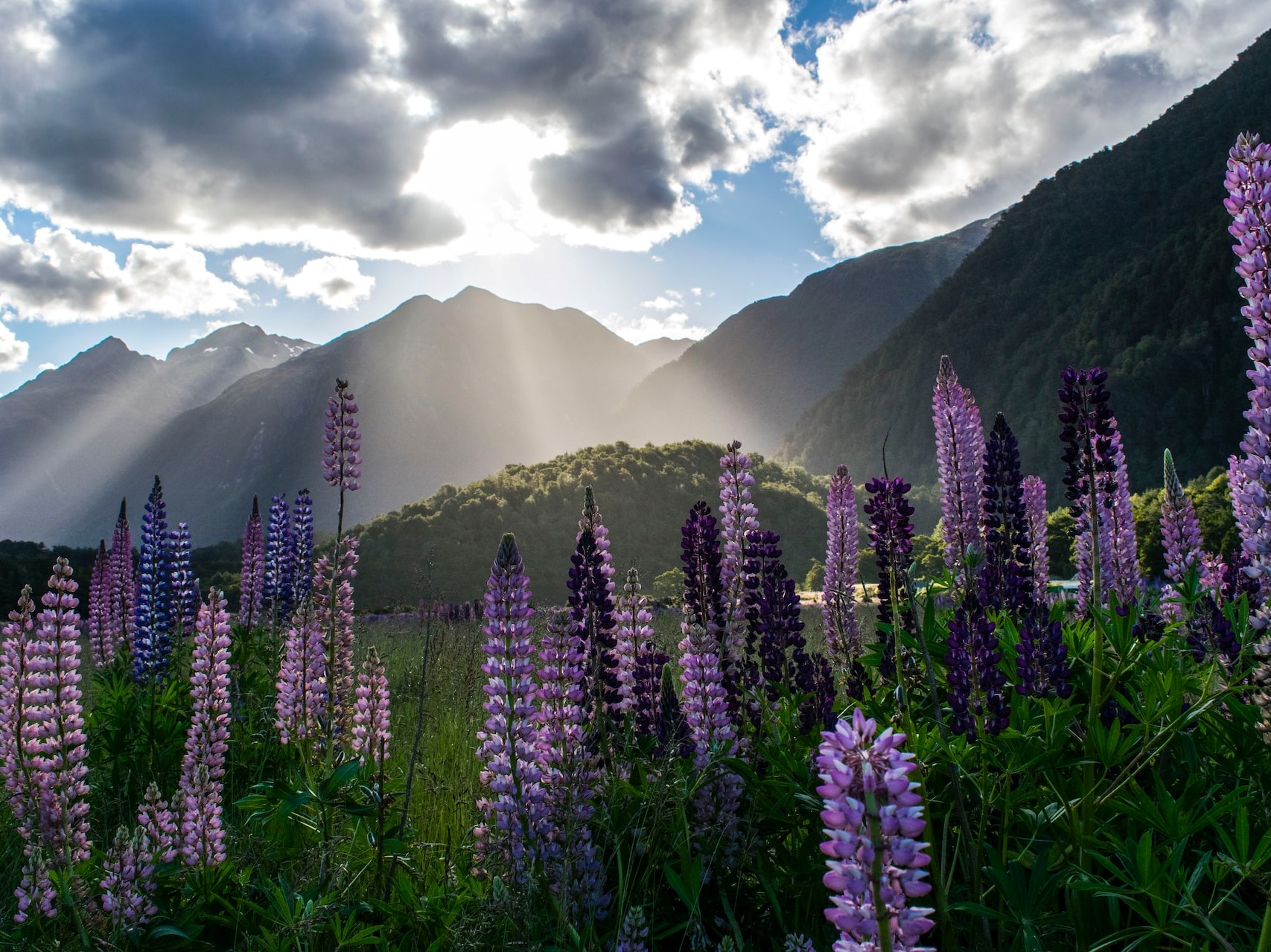 Milford Sound, Új-Zéland