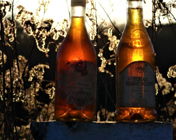 Tokaj bor borok tokaji aszú