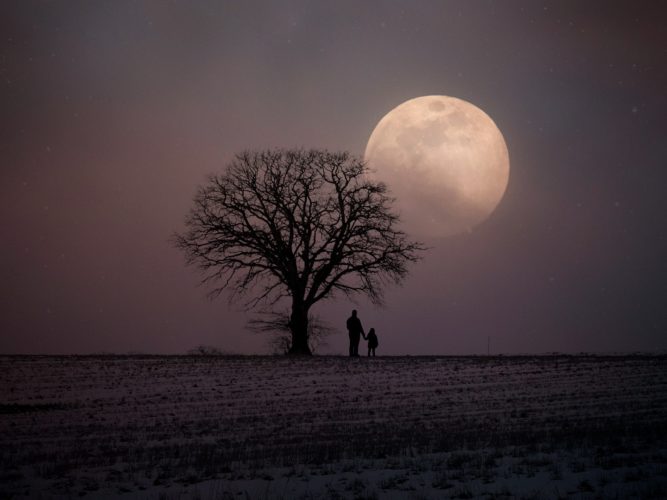 Holdfényes éjszaka télen