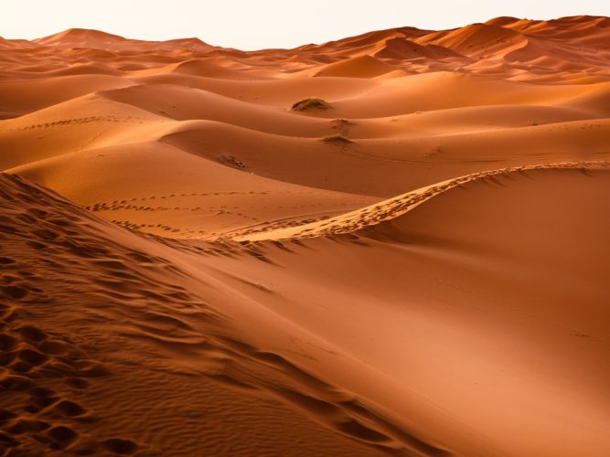 sivatag Szahara