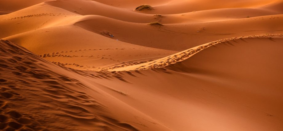 sivatag Szahara