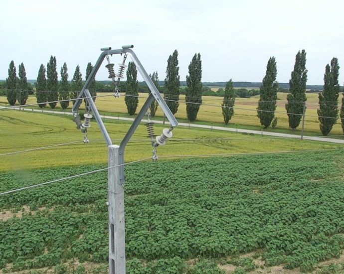 madárbarát villanyoszlop