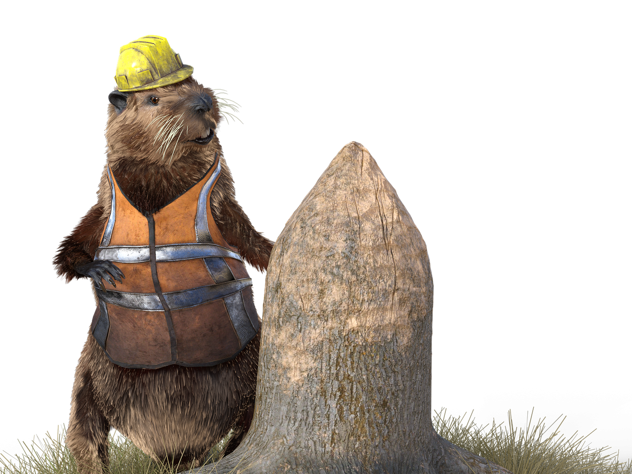 hód