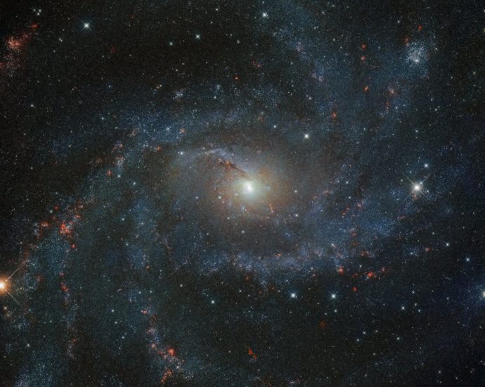 NGC 6946