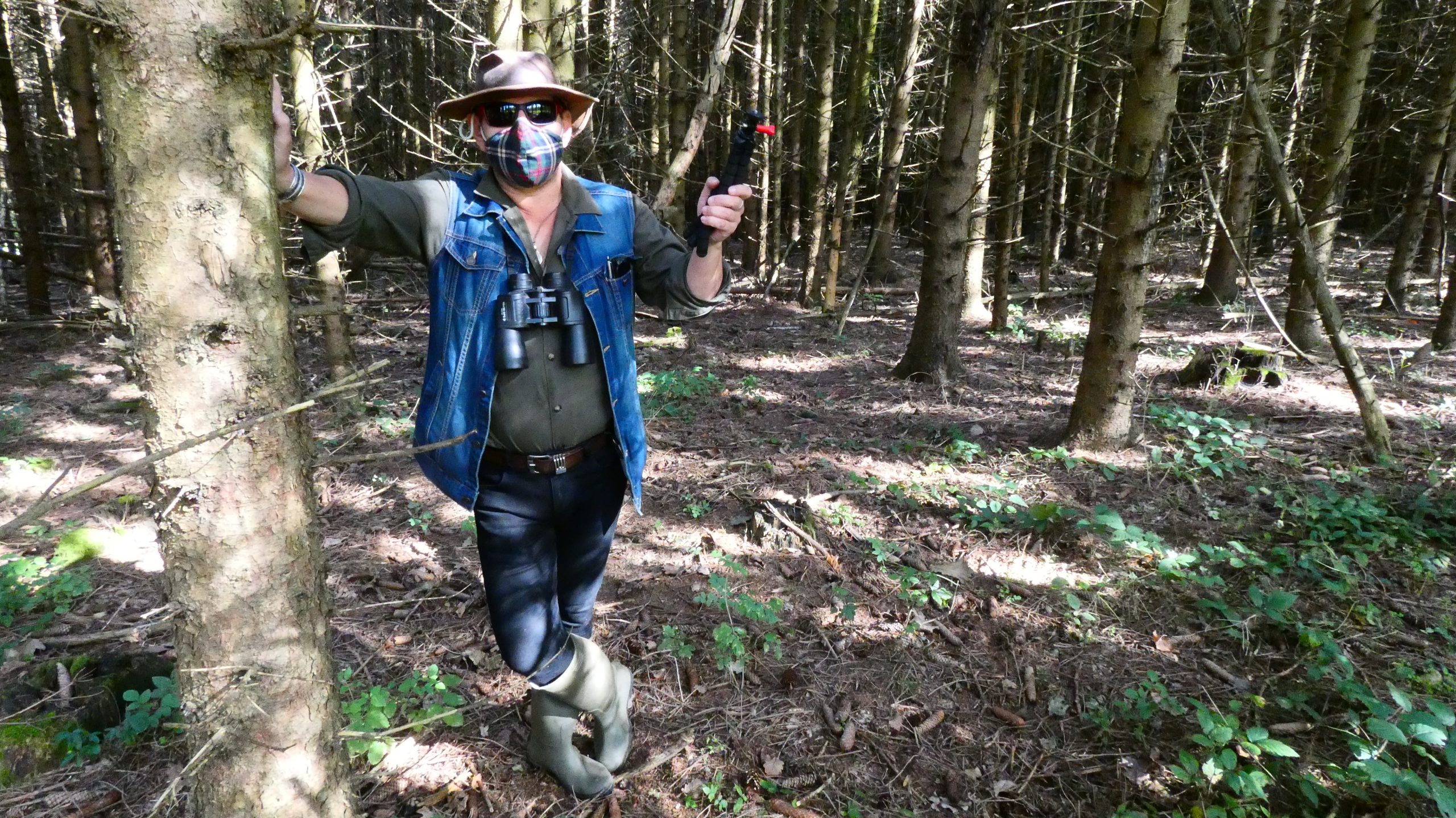 Csodafenyves Centauri erdők vlog lucfenyő