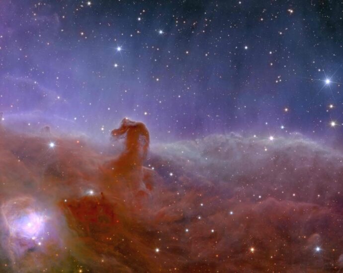 Euclid_űrtávcső_Horsehead_Nebula