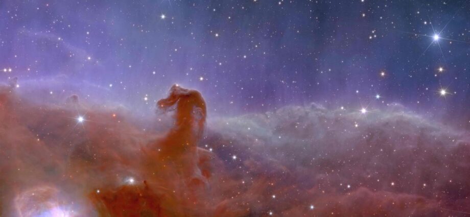 Euclid_űrtávcső_Horsehead_Nebula