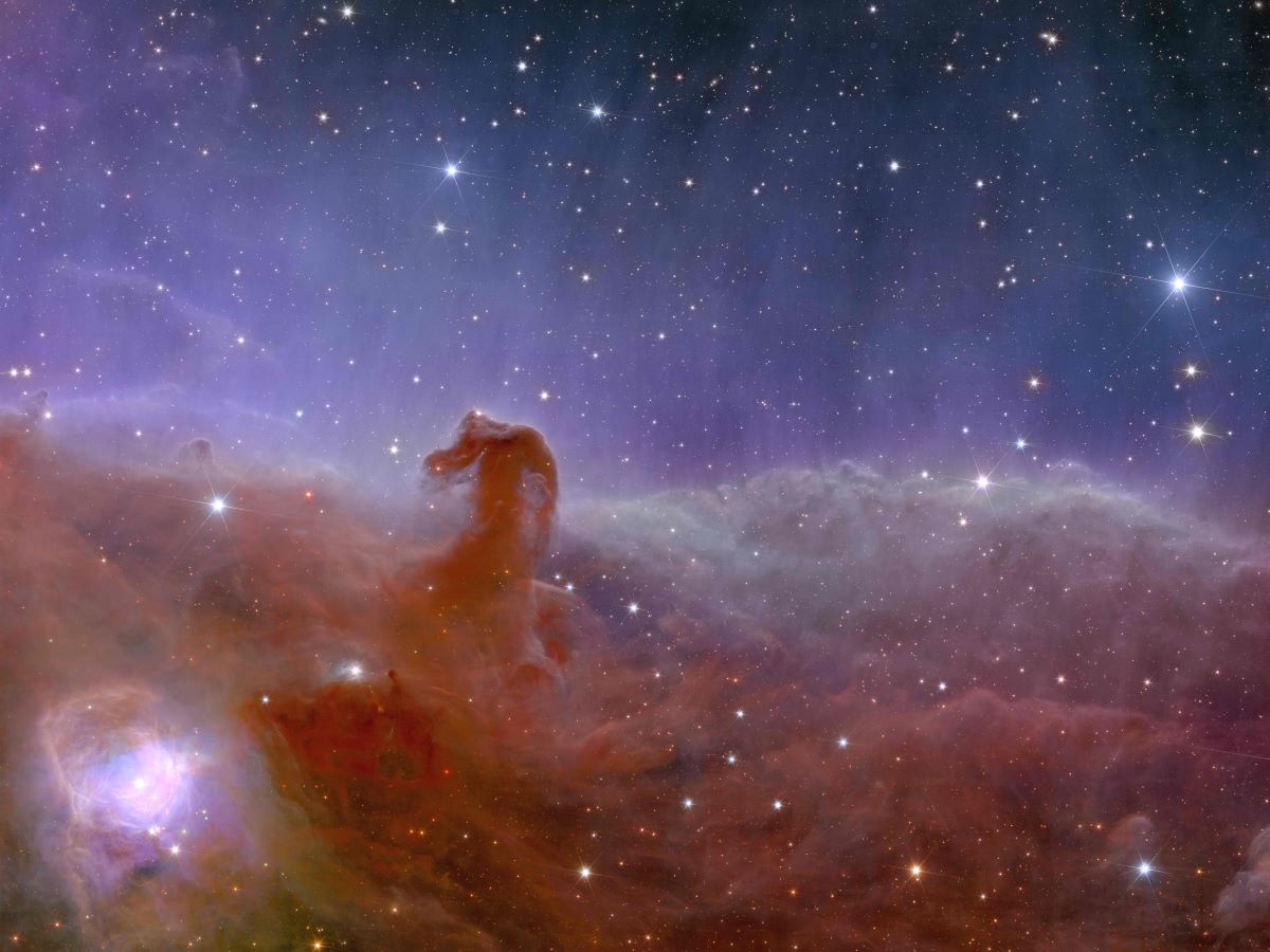 Euclid_űrtávcső_Horsehead_Nebula