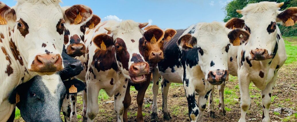 fenntartható agráriumért