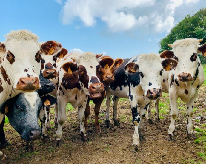 fenntartható agráriumért