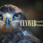 Cenweb Centauriweb Centauri borító