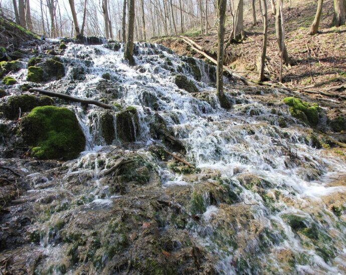 Bükk-vidék Geopark