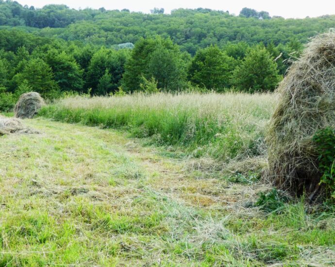 boglyák 2024 birtok rezervátum kert