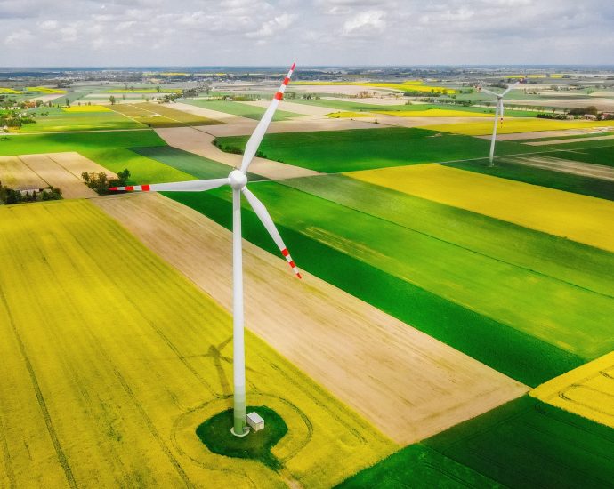szélenergia