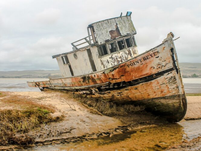 tudomány Bermuda-háromszög Sargassum moszat hajó